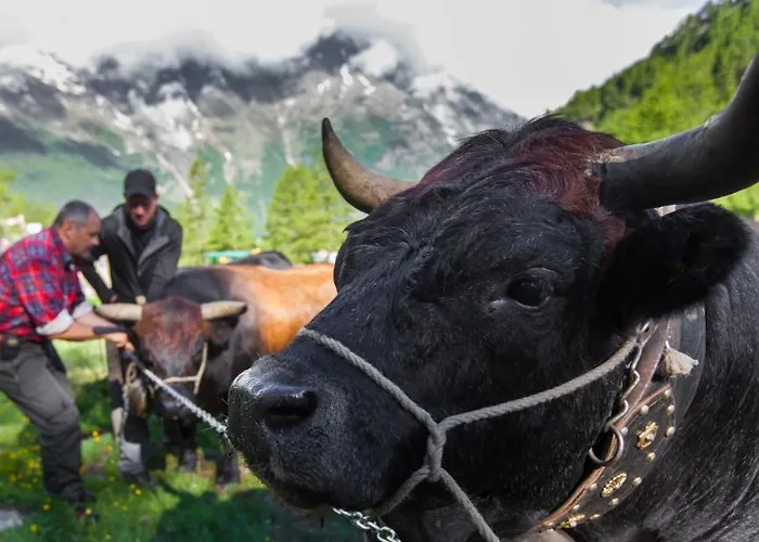 Hotel Etoile & Alpenperle Residences Hotel Saas-Fee