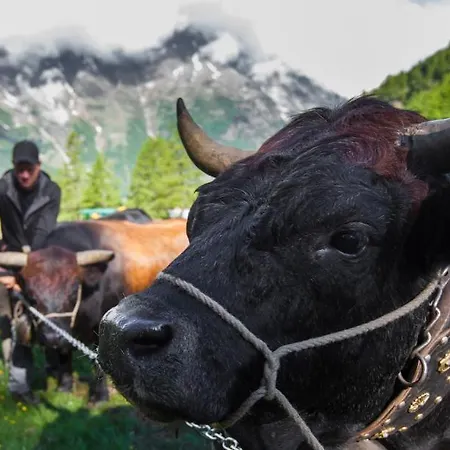 Etoile & Alpenperle Residences מלון סאס פה